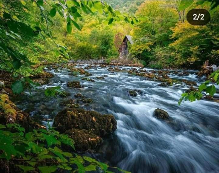 Апартаменти Smjestaj Na Selu,Porodica Gvozdenac Sipovo Екстер'єр фото